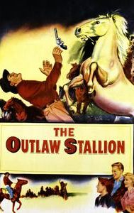 The Outlaw Stallion