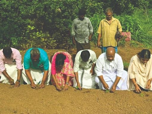 KSCDC to cultivate marigold for Onam