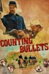 Counting Bullets