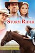 Storm Rider (2013 film)
