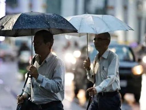 Punjab, Haryana to witness heavy to very heavy rain: IMD issues orange alert for several areas