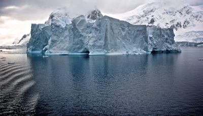 Antarctica is turning green at a ‘dramatic’ rate and it is concerning, study reveals why