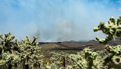 Freeman Fire, north of Tucson, has grown to more than 31,000 acres. How residents are helping