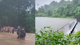 20 Trapped People Form Human Chain To Brave Raging Floods in Mumbai | Video - News18