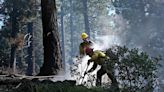 Stanislaus forest seeks to tame megafires on 260,000 acres. Valley air, water could benefit