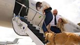 Lanzan en EE. UU. aerolínea exclusiva para mascotas y sus dueños