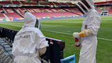 Vast swarm of bees invades Euro 2024 stadium just hours before match