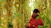 Changement climatique : Pour combattre la crise, Aisha Abdi cultive des tomates en plein désert