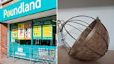 Poundland shoppers race to buy £3 hanging baskets you can also repurpose