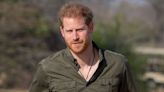 All the Details on Prince Harry's Surprise Trip to Mozambique