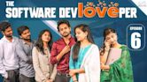 The Software Devloveper