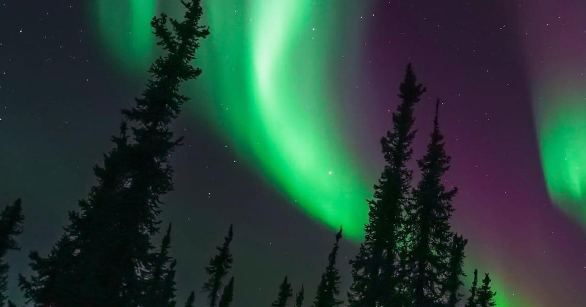 Here's how to watch tonight's 'amazing' aurora borealis on the Prairies