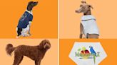 We Found Tons of Dog Accessories Quietly Discounted at PetSmart from $6 — Bandanas, Life Jackets, and More