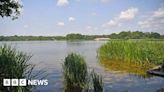 Surrey swimmers warned after suspected blue-green algae outbreak