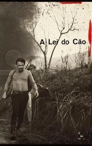 A Lei do Cão