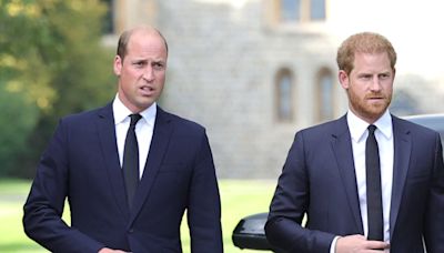 Prince William 'Shut Door’ to Harry’s Bid to Return to Royal Duties