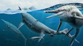 Fossils of massive ancient marine reptile found on remote Arctic island