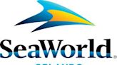 Here’s how teachers can get free admission to SeaWorld Orlando for a year