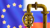 EU energy chief calls for price cap on Russian gas