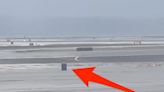 Video shows runaway luggage scooting across the tarmac at a windy San Francisco airport