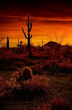 A Red Desert Photograph by Saija Lehtonen - Fine Art America
