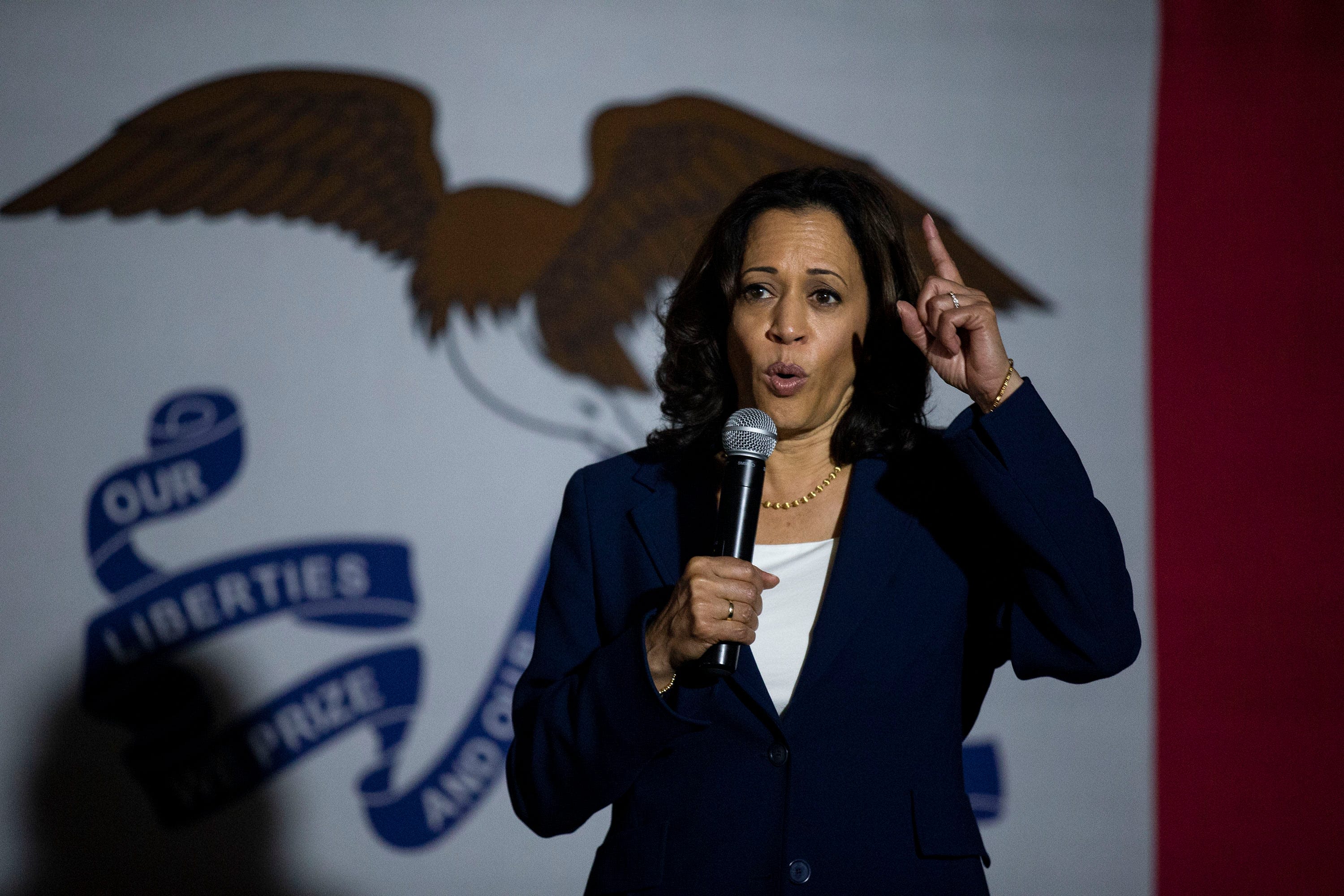 Iowa DNC delegates endorse Kamala Harris for president after Biden drops out. Here's why: