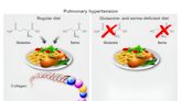 Dietary changes may help treat pulmonary hypertension