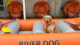 River Dog Adventures celebrates ribbon-cutting in Elizabethton