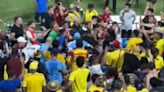 Uruguay Star Loses Cool, Throws Punches At Fans In Massive Copa America Brawl. Watch | Football News