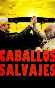 Caballos salvajes