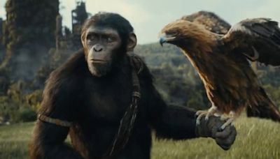 ‘Kingdom of the Planet of the Apes’ Marks Disney’s Big Return to the Box Office