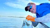 Central Florida fishing: School's coming back, but lobster, gator & snook on the docket