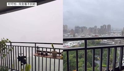 愛莉莎莎家中拍下暴雨「好可怕」！對比照曝光 鍾欣凌驚：超大的