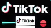 TikTok takes Uncle Sam to court in new lawsuit