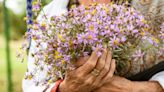 UK Gardeners Urged To Watch Flowers For 1 Crucial Reason