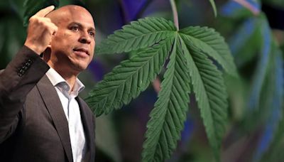 Cory Booker Lights Up California Cannabis Facility In Drive for Federal Legalization, Tells Workers 'I've Been in the Trenches'