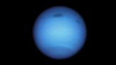 All of Neptune’s clouds suddenly vanish, leaving scientists perplexed