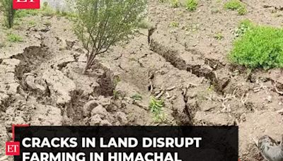 'Flood irrigation': Land cracks disrupt farming in Lahaul-Spiti, Himachal Pradesh