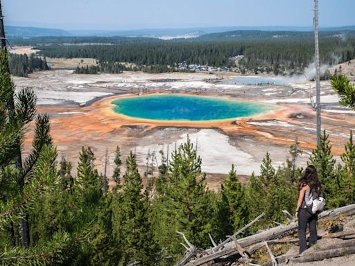 I lived in Yellowstone National Park and watched tourists constantly make these 5 mistakes