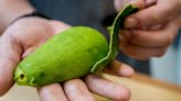 Speed up avocado ripening with simple method that 'harnesses nature's methods'