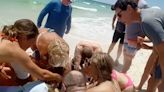 Red flags: Beachgoers saved one Florida shark attack victim. Then came a second attack