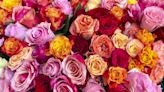 Did You Know That Rose Colors Have Different Meanings?