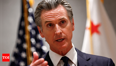 California’s landmark AI safety bill blocked by governor amid tech industry backlash - Times of India