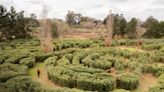 Cuatro mil plantas de bambú, dos laberintos y una laguna: la transformación de una estancia icónica de San Antonio de Areco