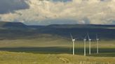 Wind energy boom and golden eagles collide in the American West