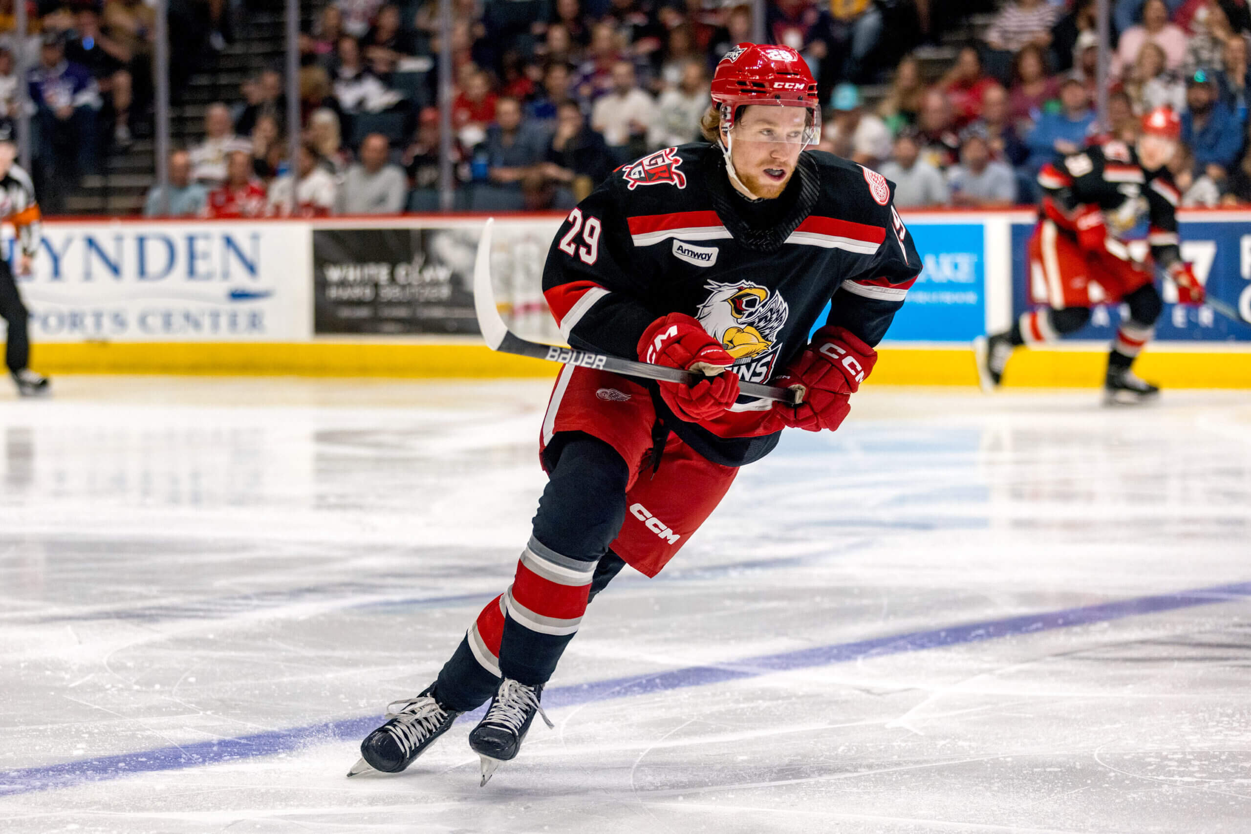 Which Red Wings prospects are standing out in AHL playoffs?