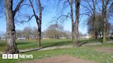 East Ham: Man stabbed to death and two teens hurt in park fight