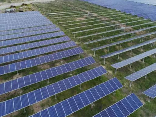 Tata Solar, ReNew, Avaada Electro ask govt for visas for Chinese professionals - ET EnergyWorld