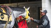 Larry Demeritte will be first Black trainer in Kentucky Derby since 1989. How he beat the odds