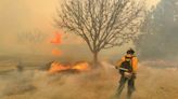 Miles de cabezas de ganado han muerto por incendios que siguen ardiendo en en Texas